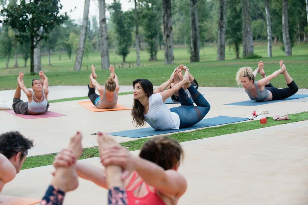 6日間のホリスティック・アヤワスカ・リトリート – プティ・コミテ版