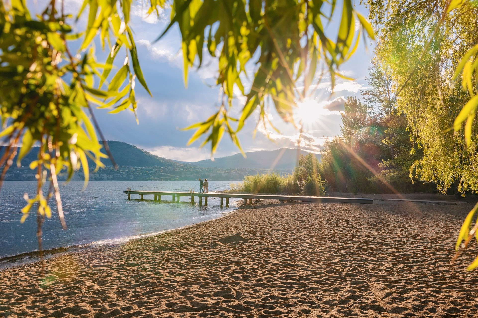 夏のセッション