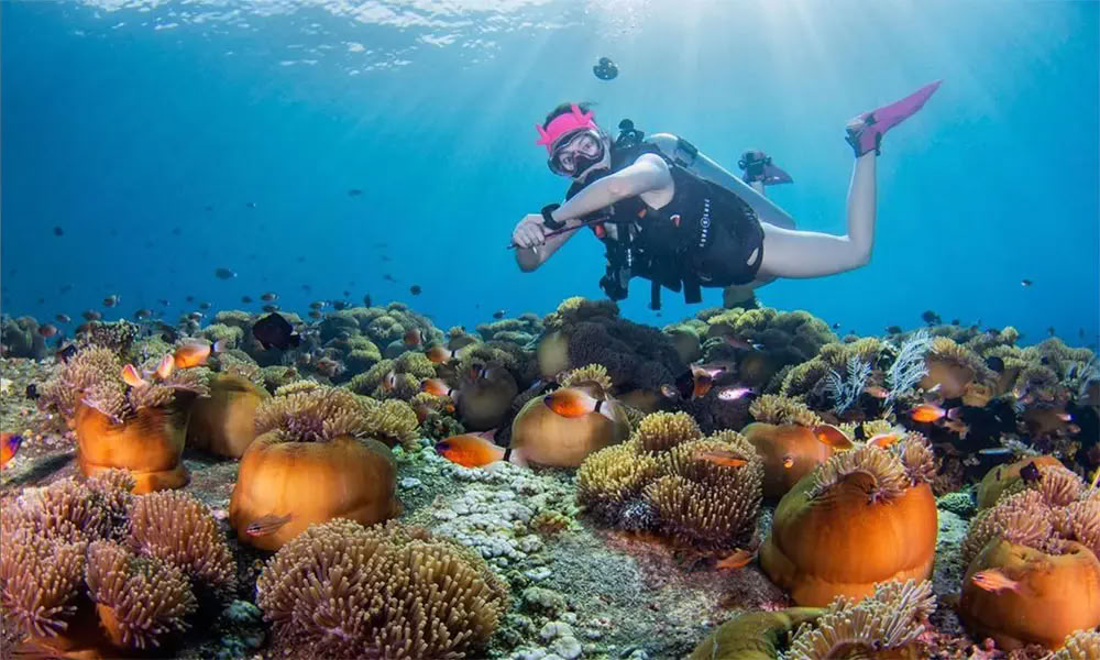 メンジャンガン島ダイビング