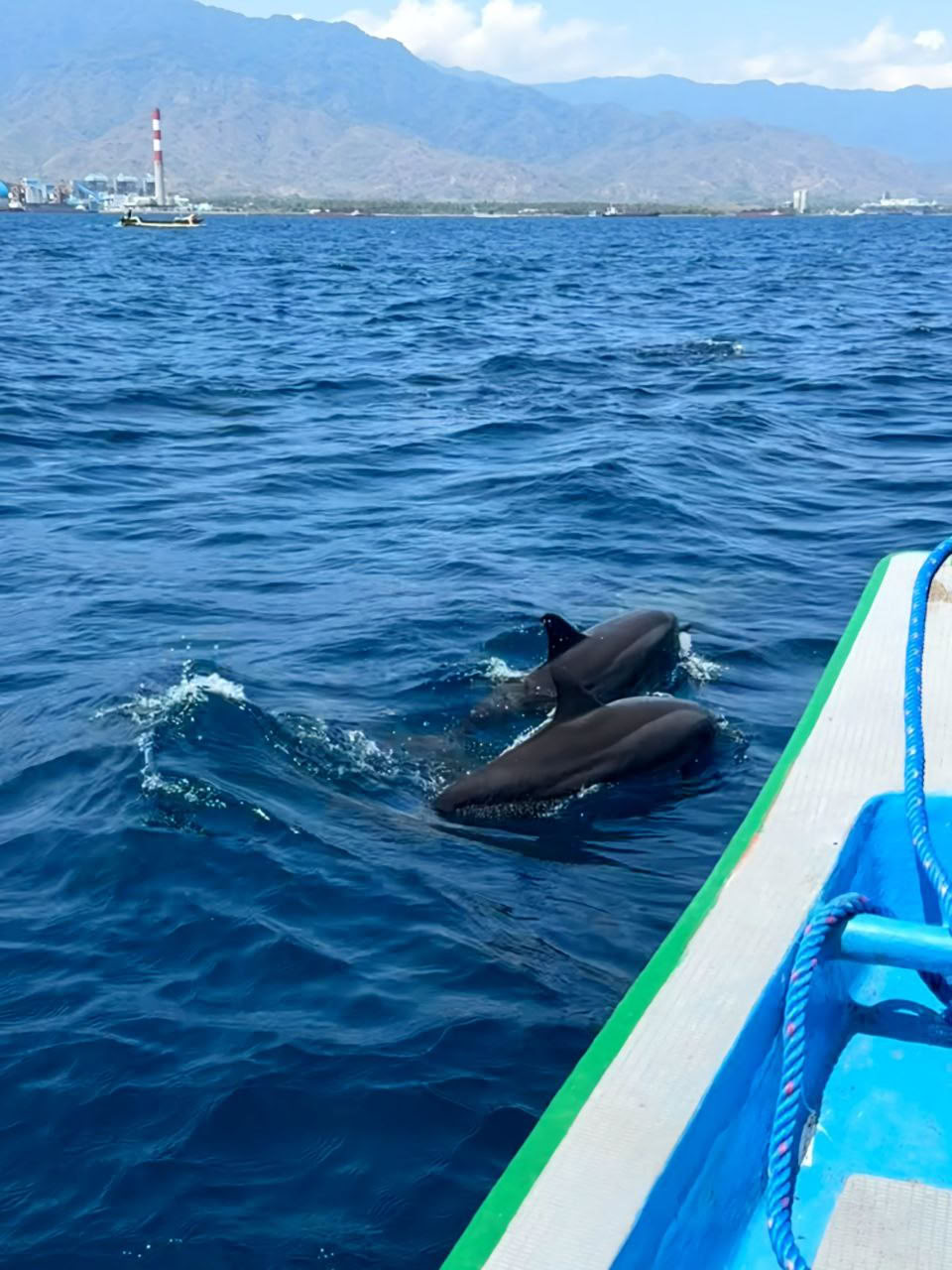 バリ島での8日間バリニーズマッサージトレーニング