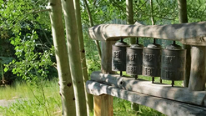「野生の中で目覚める（10月）：自然の中で知恵と覚醒を探求する」