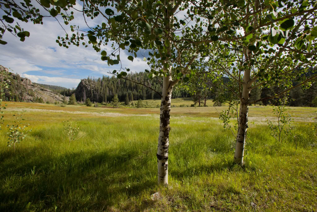 四大元素の巡礼：木々、川、空との親密なつながりを通じた目覚め