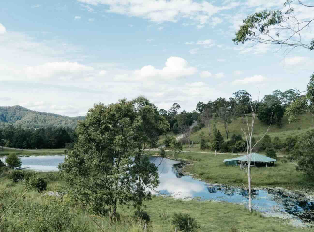 レベル1 タイヴェディック・ヨガセラピー・トレーニング