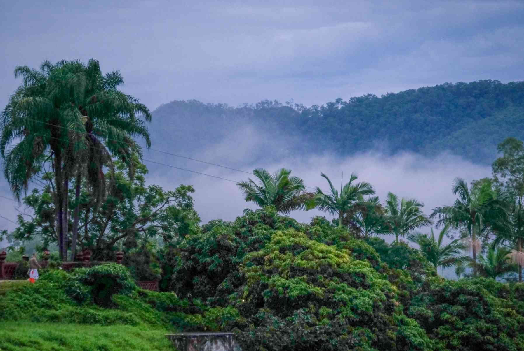 「ヒマラヤの精神」ツアー＋インドのホーリー祭
