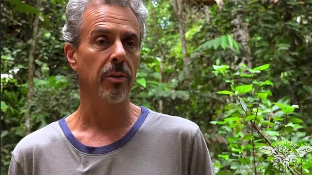 医療従事者向けアヤワスカ・リトリート2026