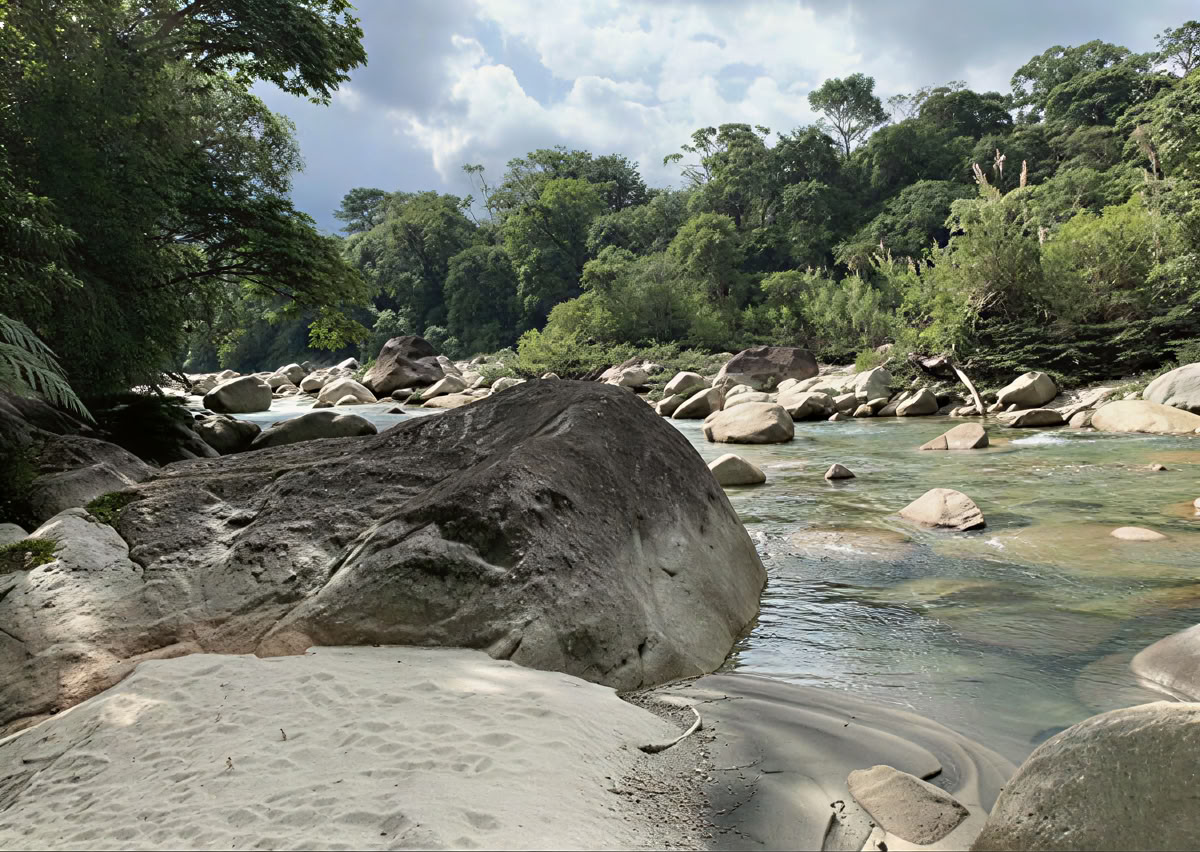 エクアドルでのアヤワスカ・セレモニー