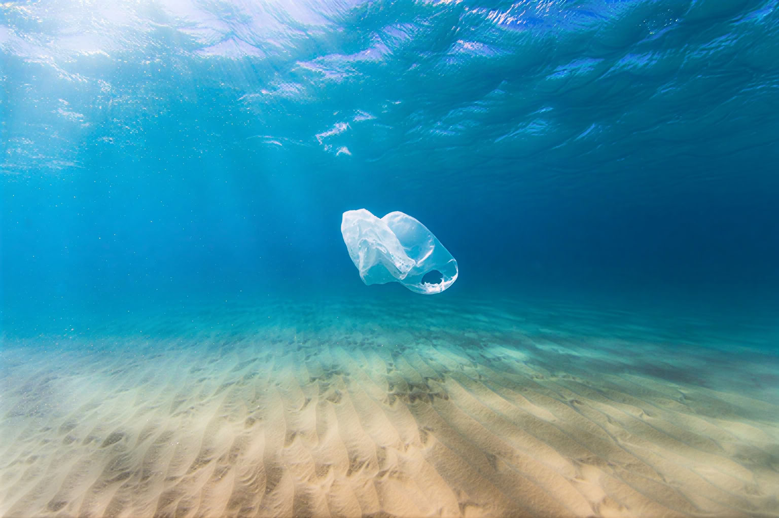 慈悲の海:地球に奉仕するリトリート