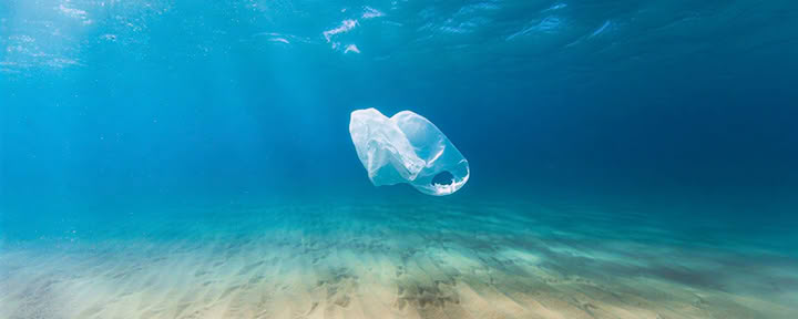 慈悲の海：地球に奉仕するリトリート