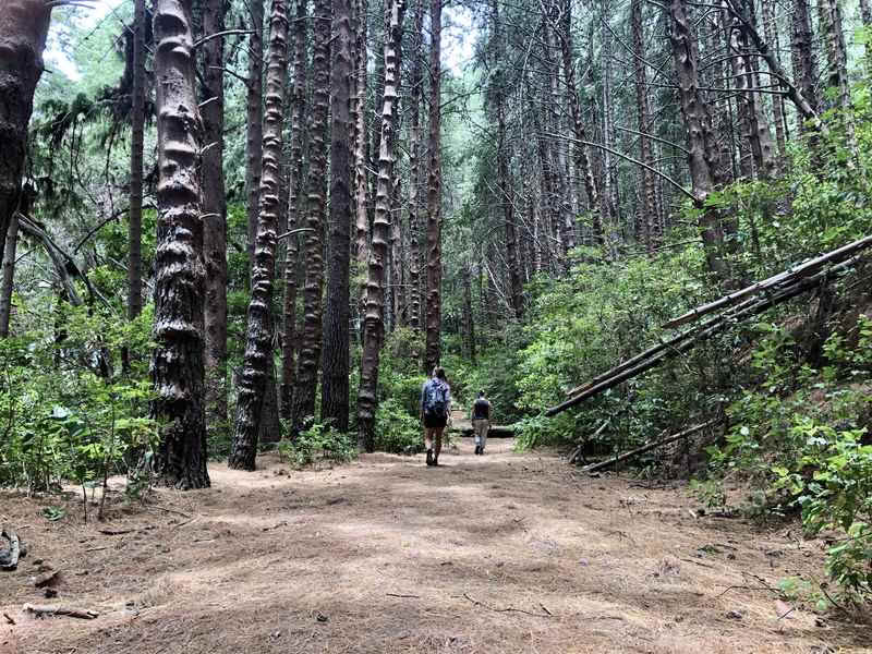 イラズ火山と温泉オロシ・ハシエンダ