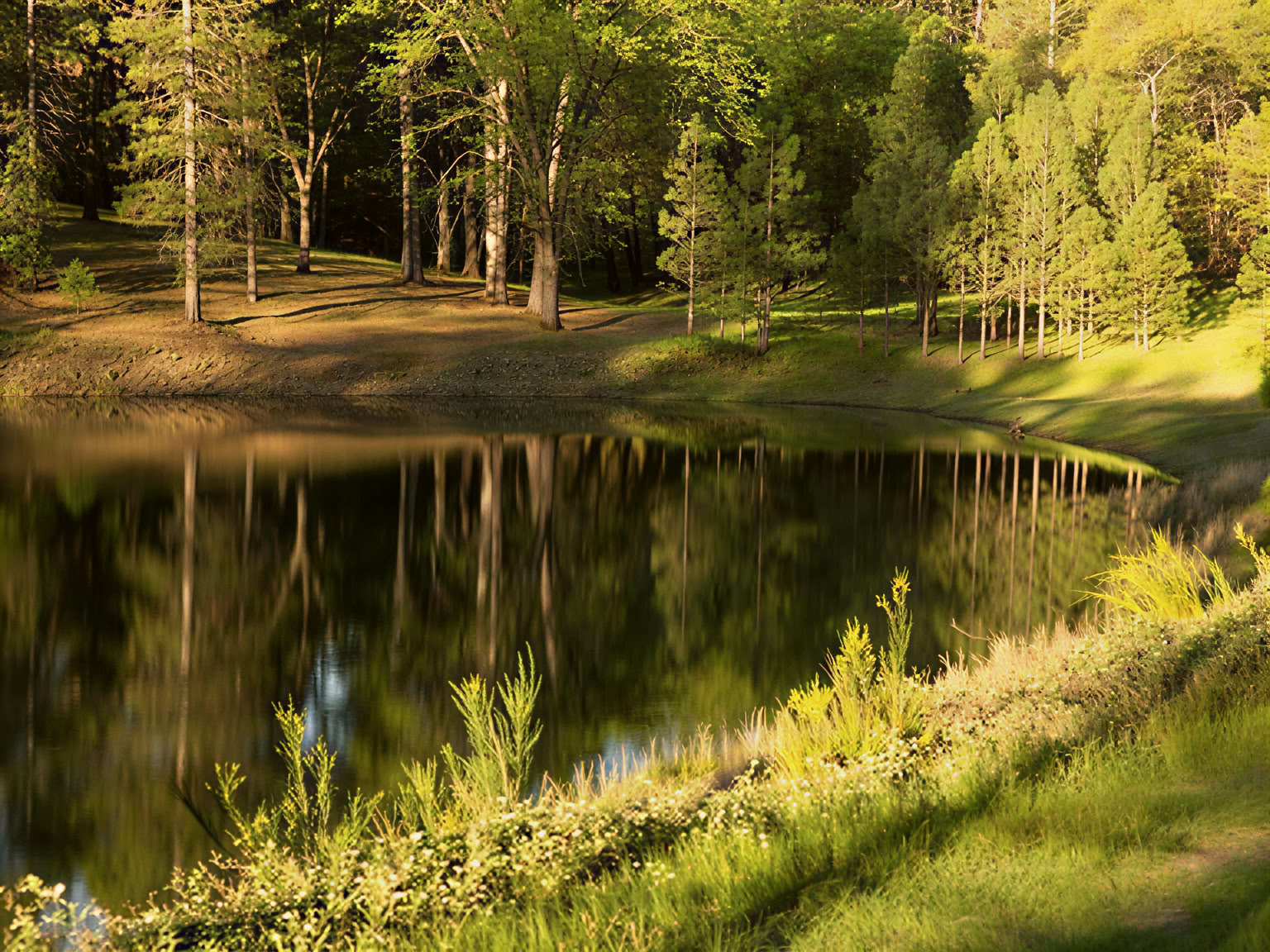 バガヴァッド・ギーター
