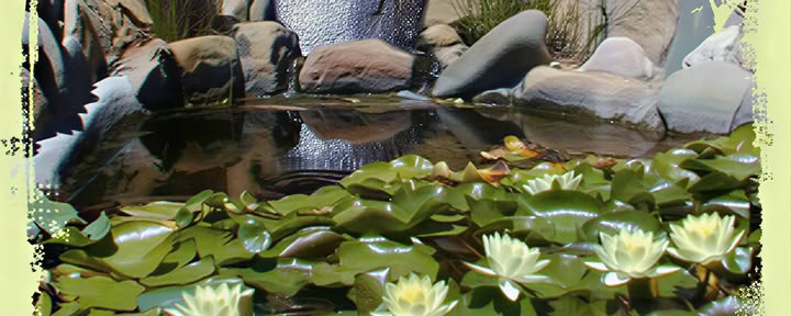 ヨガとマインドフルな料理の芸術