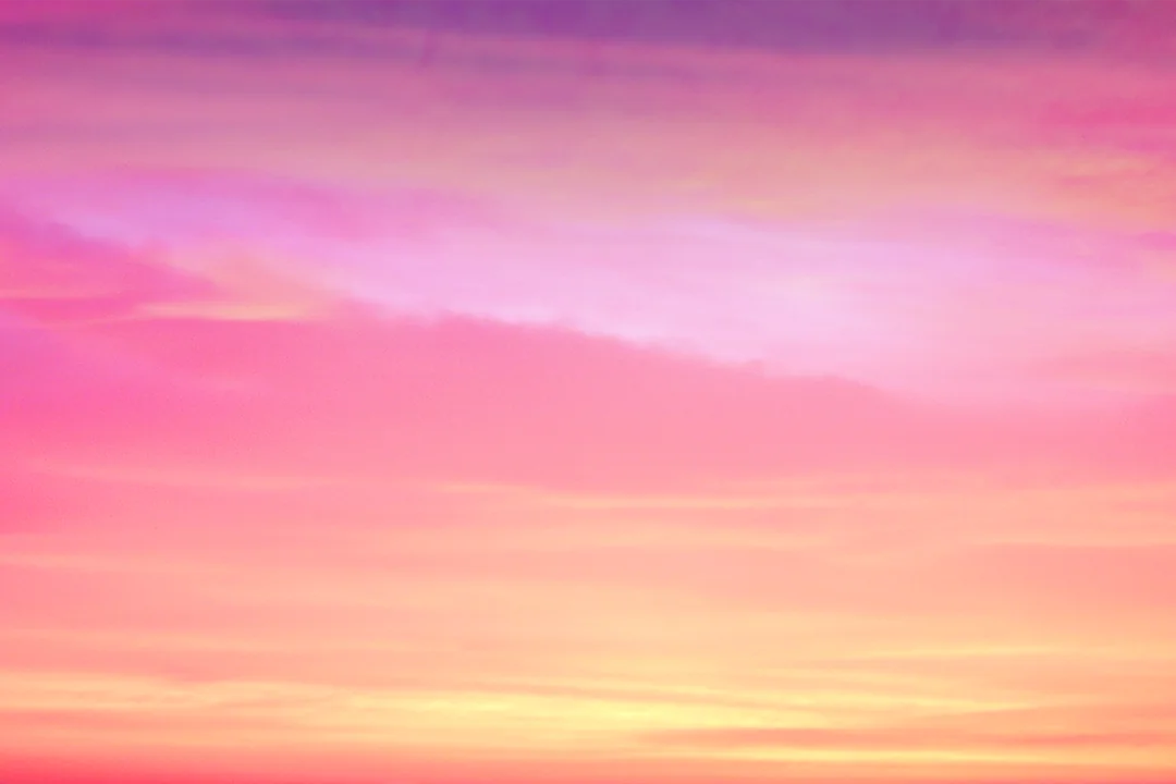 夕方のリセット&リストア