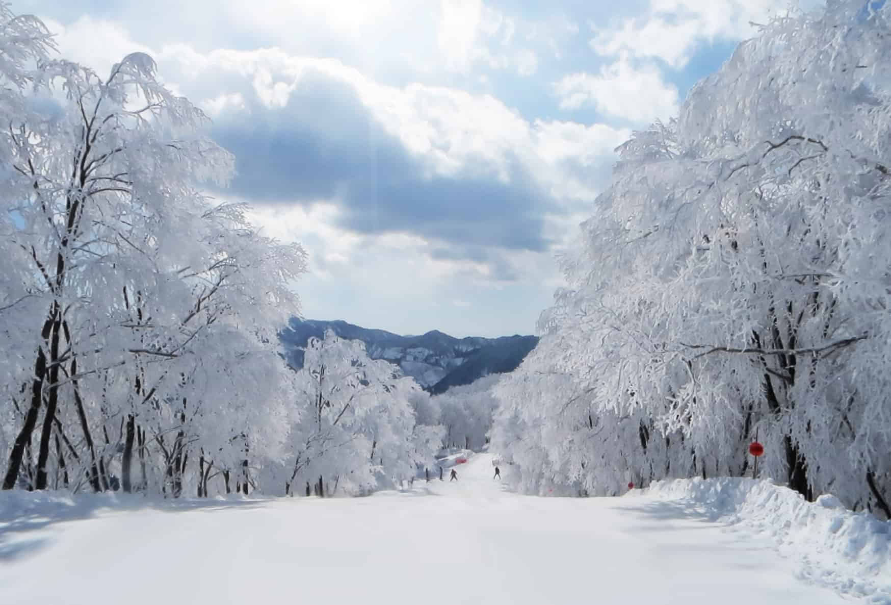 雪の女神リトリート