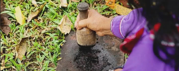 14日間の薬用植物ディエタ