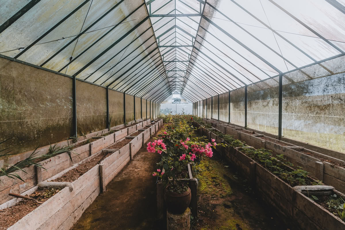 200時間／300時間 ハイブリッド・ヨガティーチャートレーニング – 2026年12月24日 – 2027年1月6日