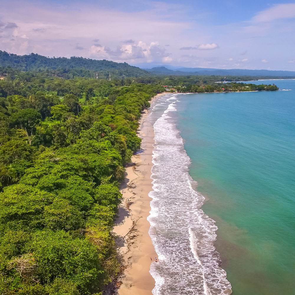 ホーム・サンクチュアリ・アヤワスカ・リトリート – 8月22日〜29日