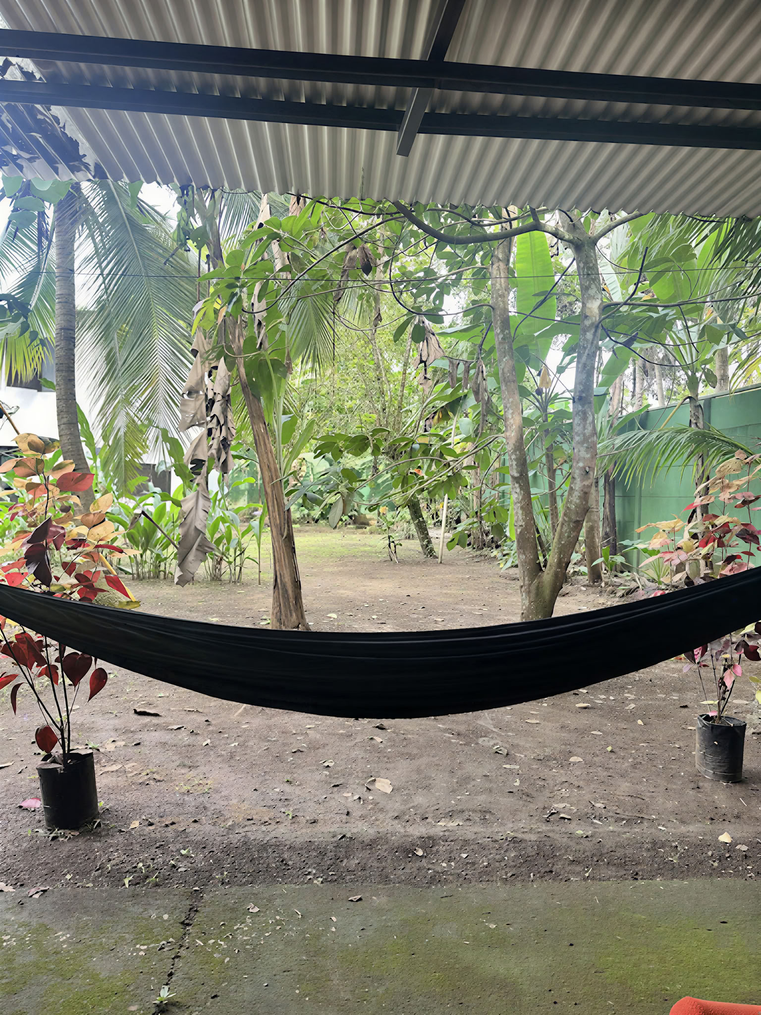ホーム・サンクチュアリ・アヤワスカ・リトリート – 11月21日〜28日