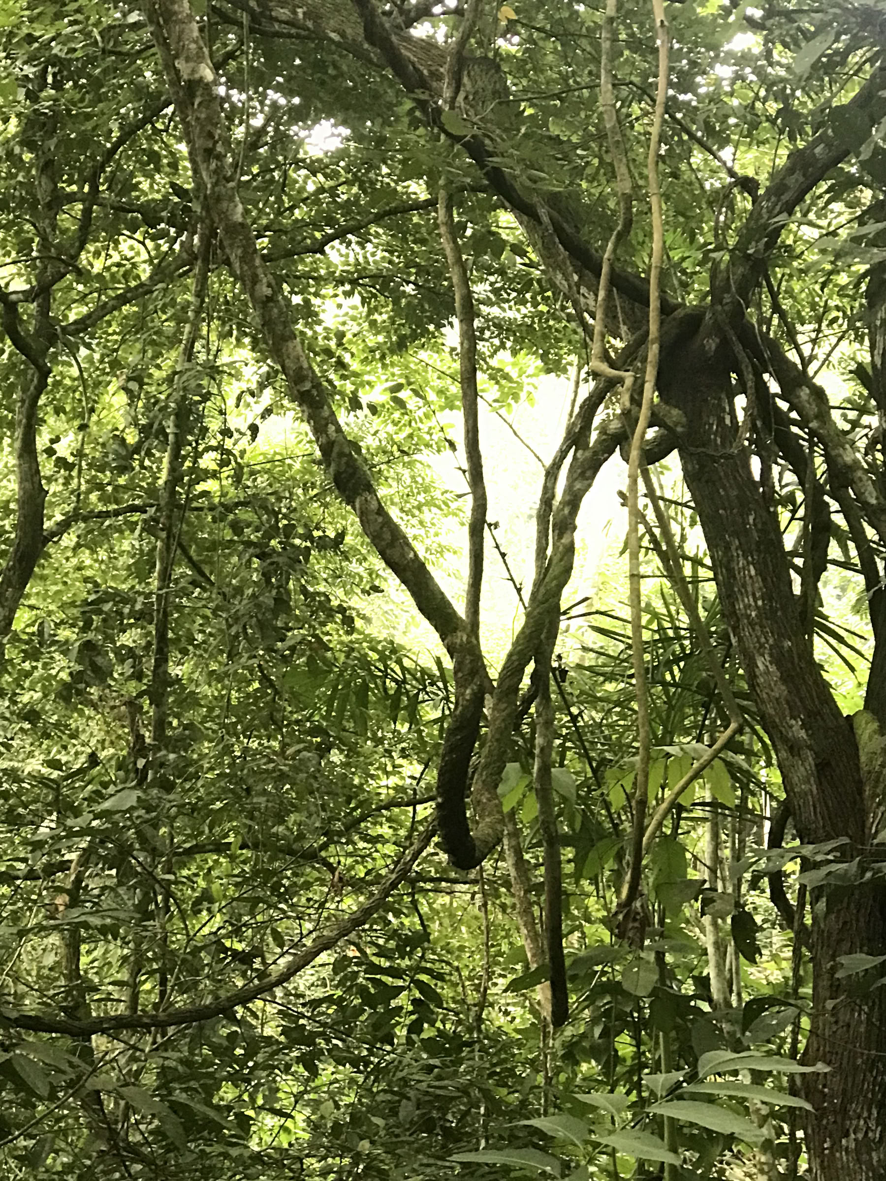 週末リトリート