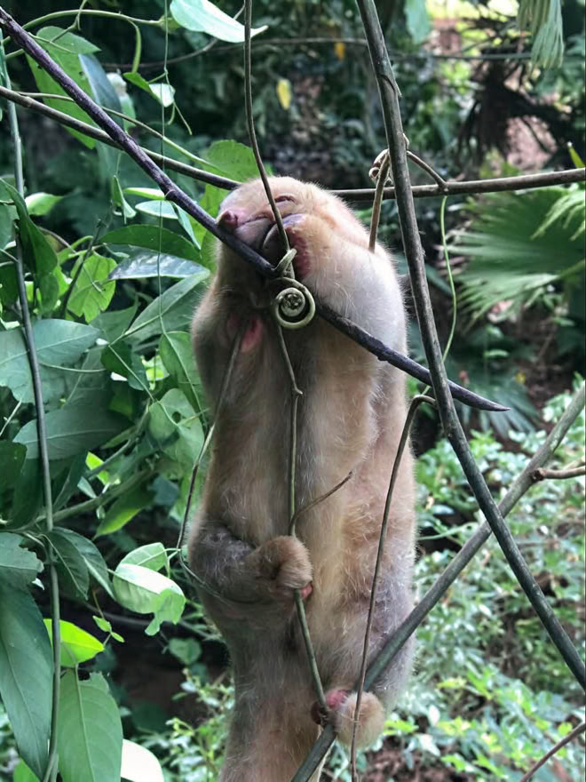 週末リトリート