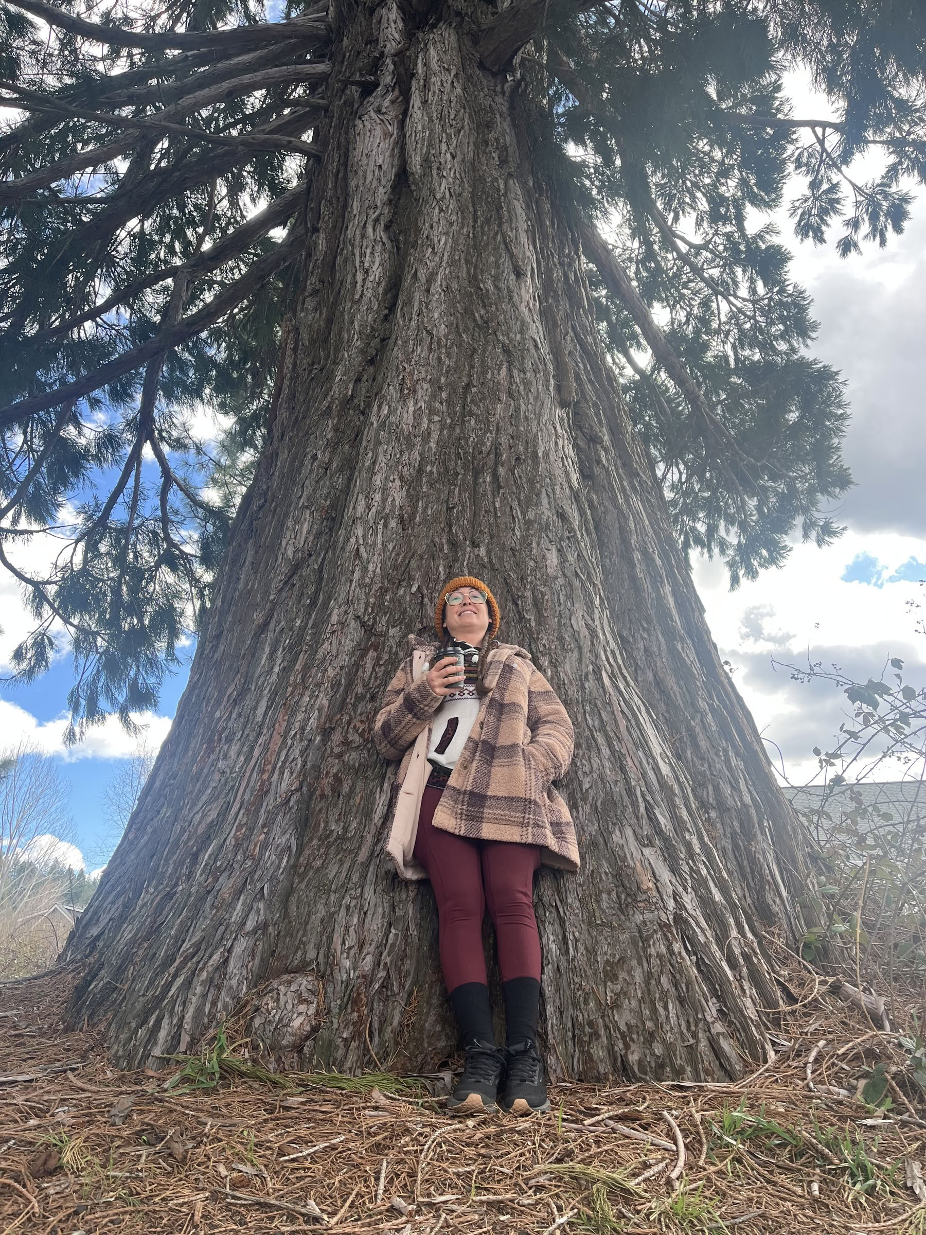 深い内なる平和のリトリート：シャスタ山、カリフォルニア州