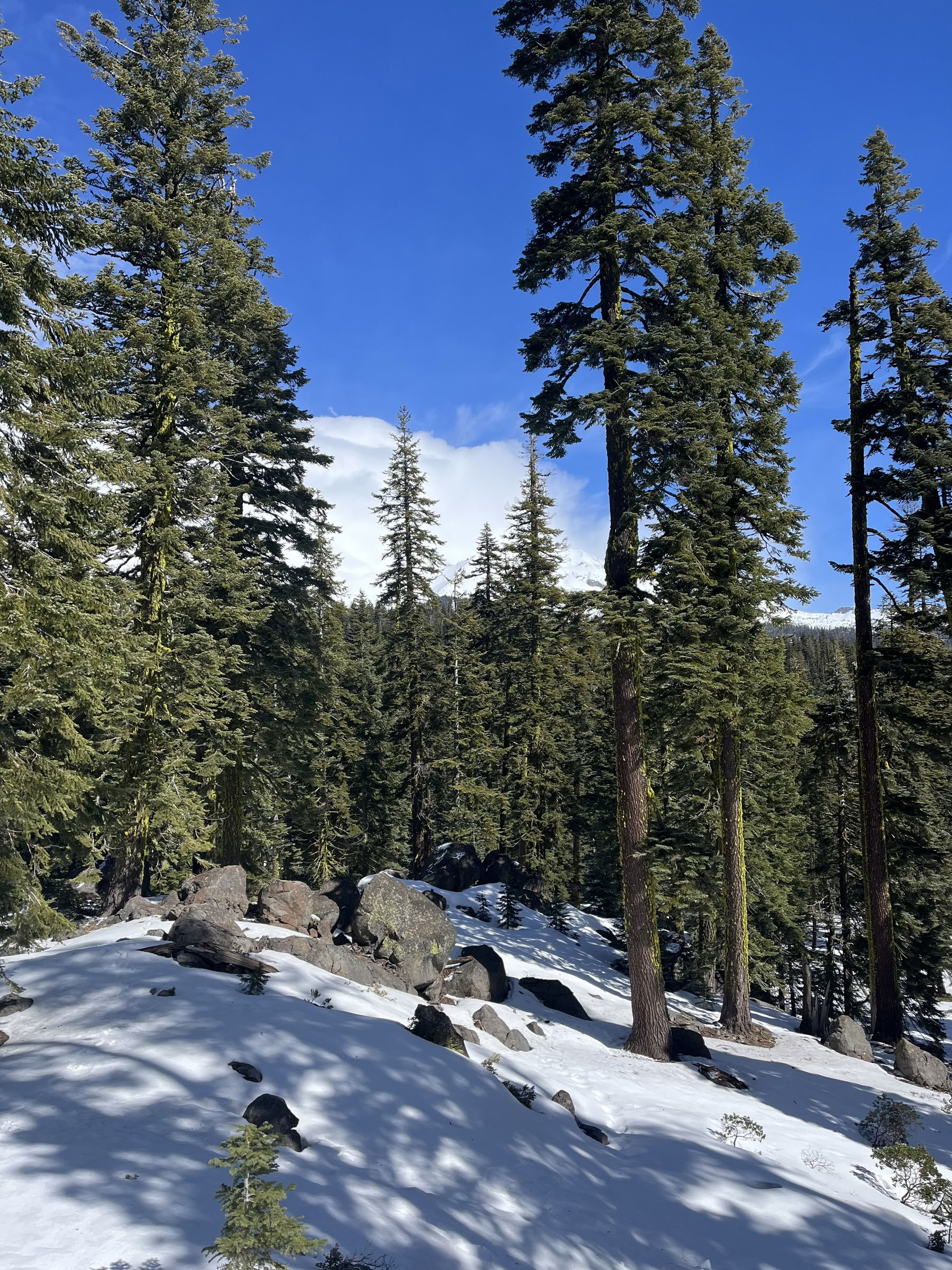 深い内なる平和のリトリート：シャスタ山、カリフォルニア州