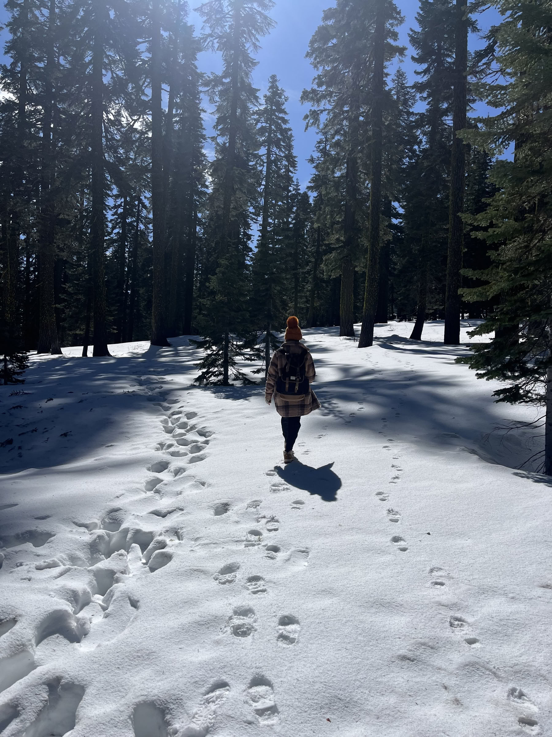 深い内なる平和のリトリート：シャスタ山、カリフォルニア州