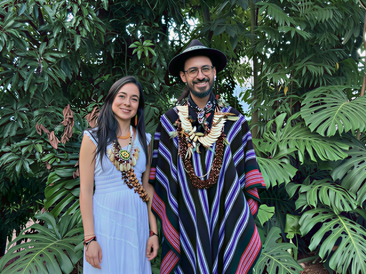 メデジンでのプライベート・アヤワスカ・リトリート
