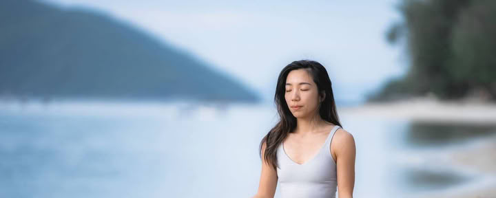 脳の健康向上プログラム