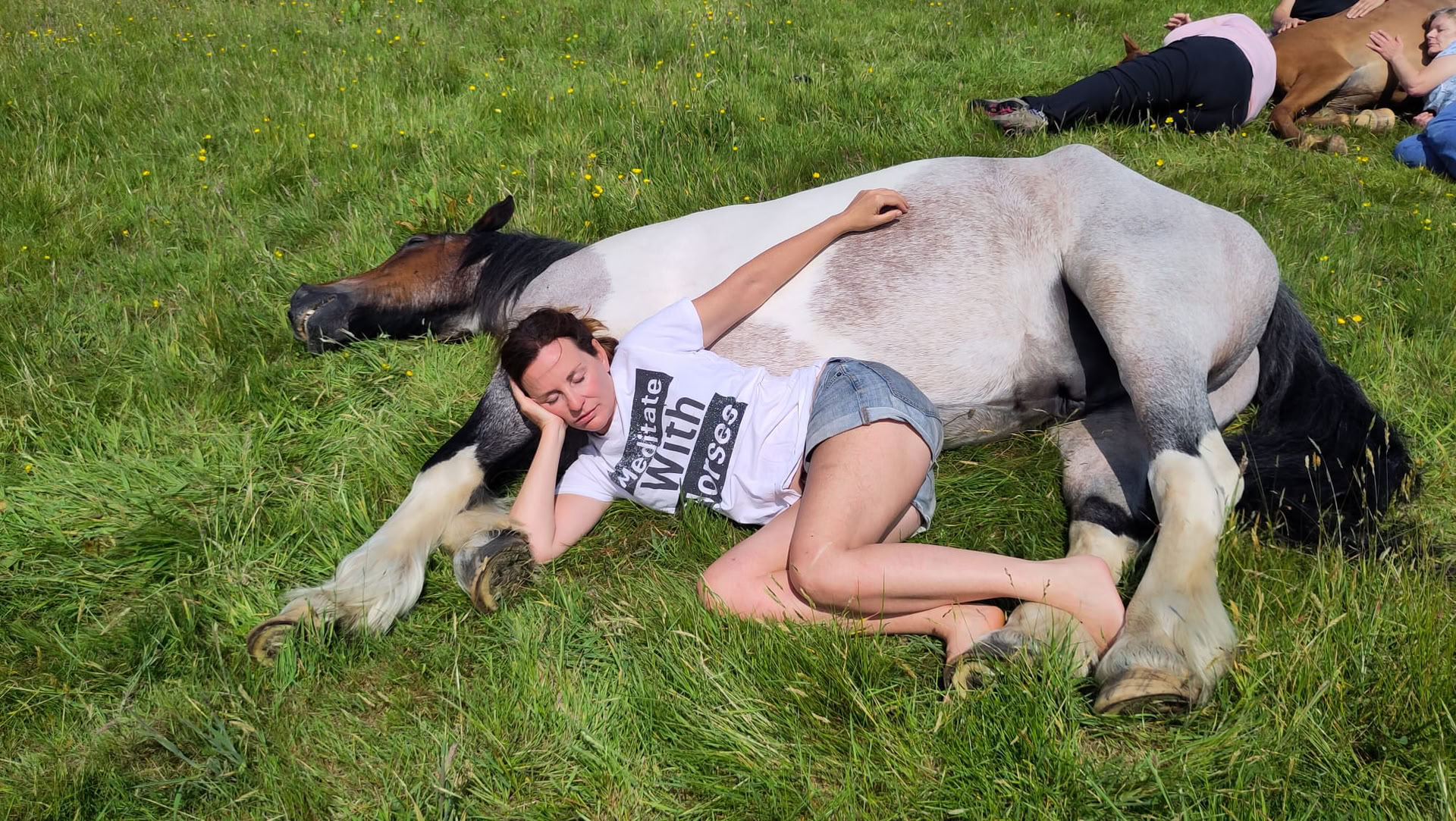 馬との静かなヒーリング 2026/08/23〜2026/08/28