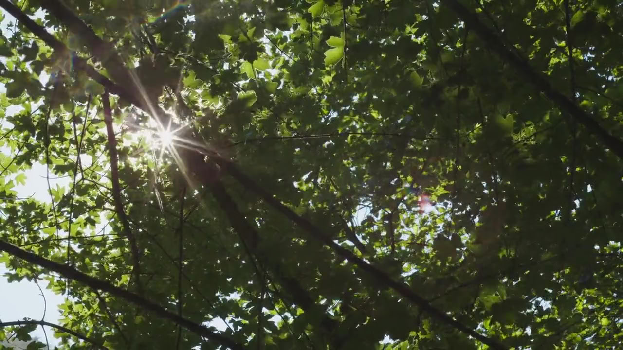 呼吸して始める