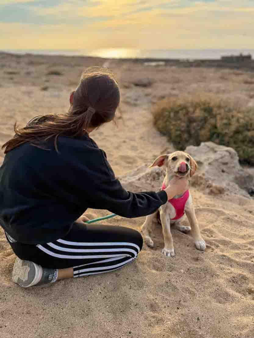 子犬とのビーチウォーク