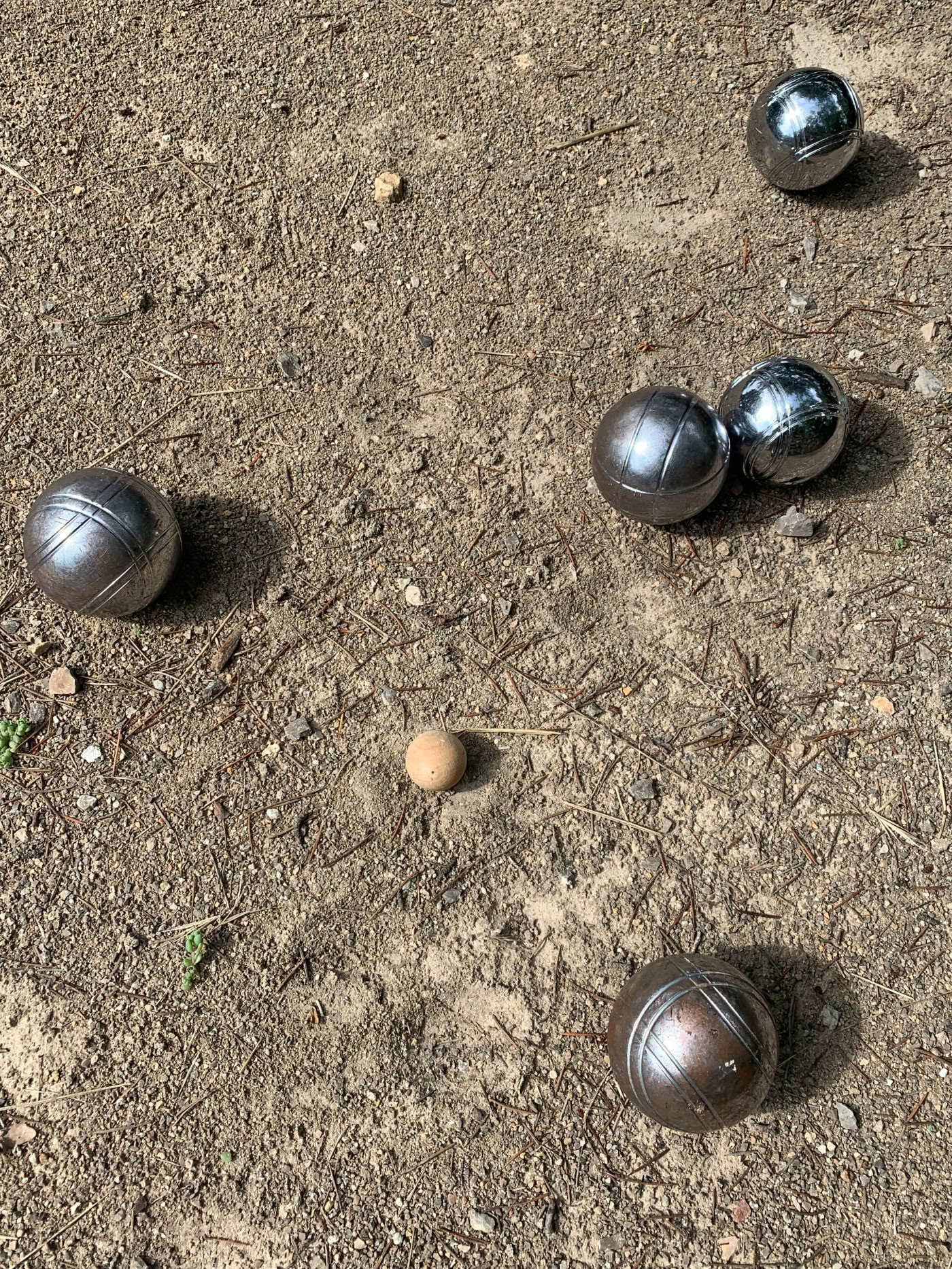 感覚プログラム