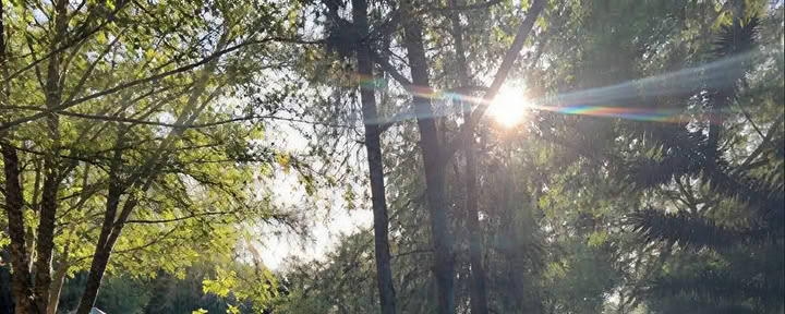 禅マインドフルネス指導者養成講座