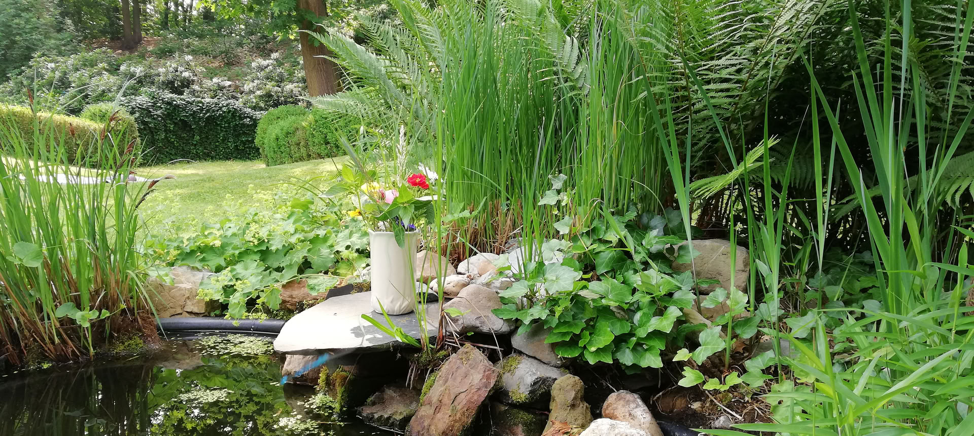 植物療法とクンダリーニヨガ