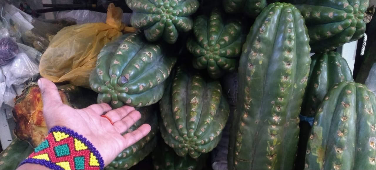 ãµã³ãããã®ååŒ