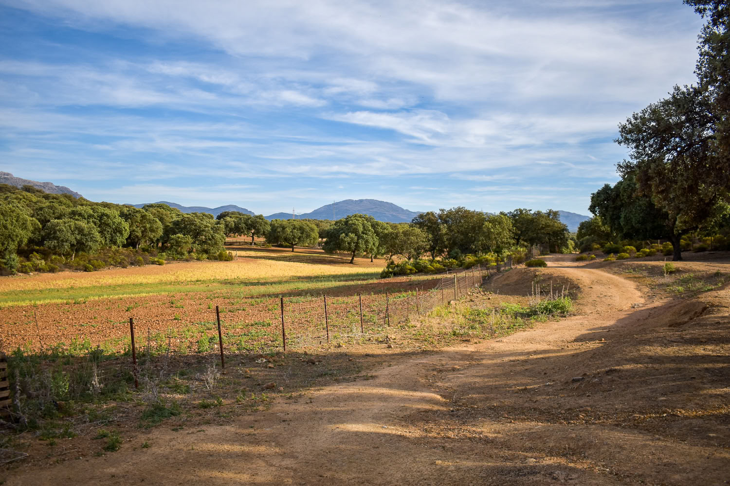 ムーブメントの芸術