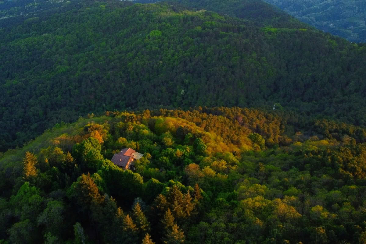 200æéRYTã»ã€ã¿ãªã¢ããã¹ã«ãŒãã»Yoga Allianceèªå®