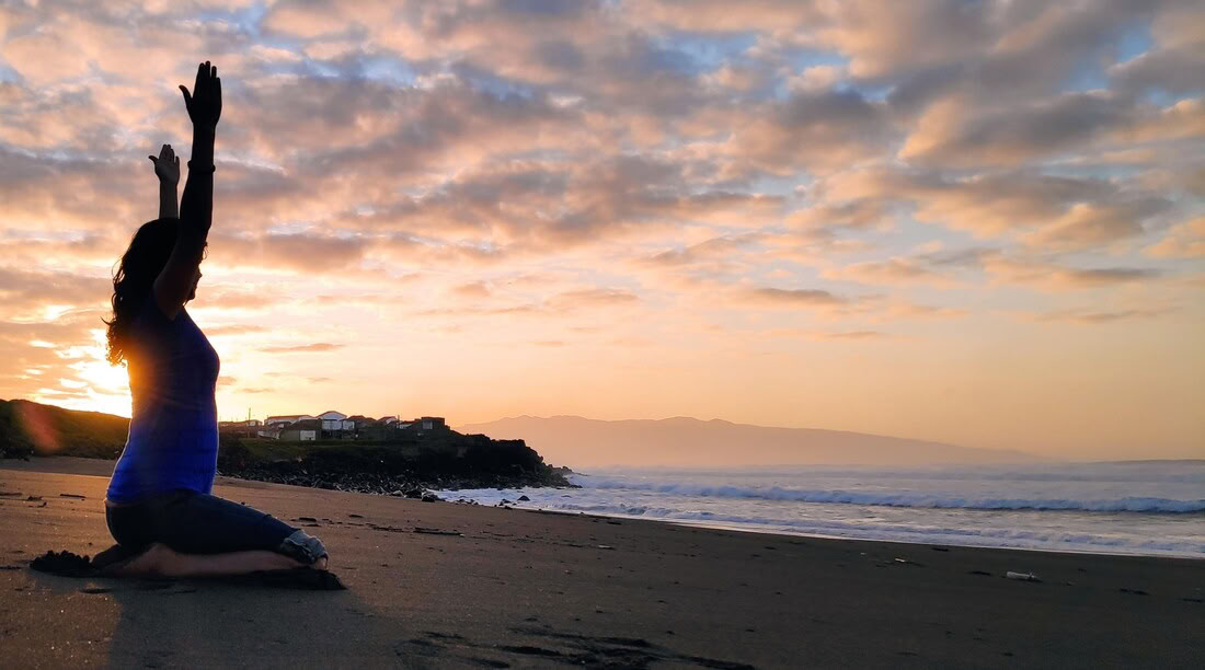 マイ・ミヌビダ・プログラム