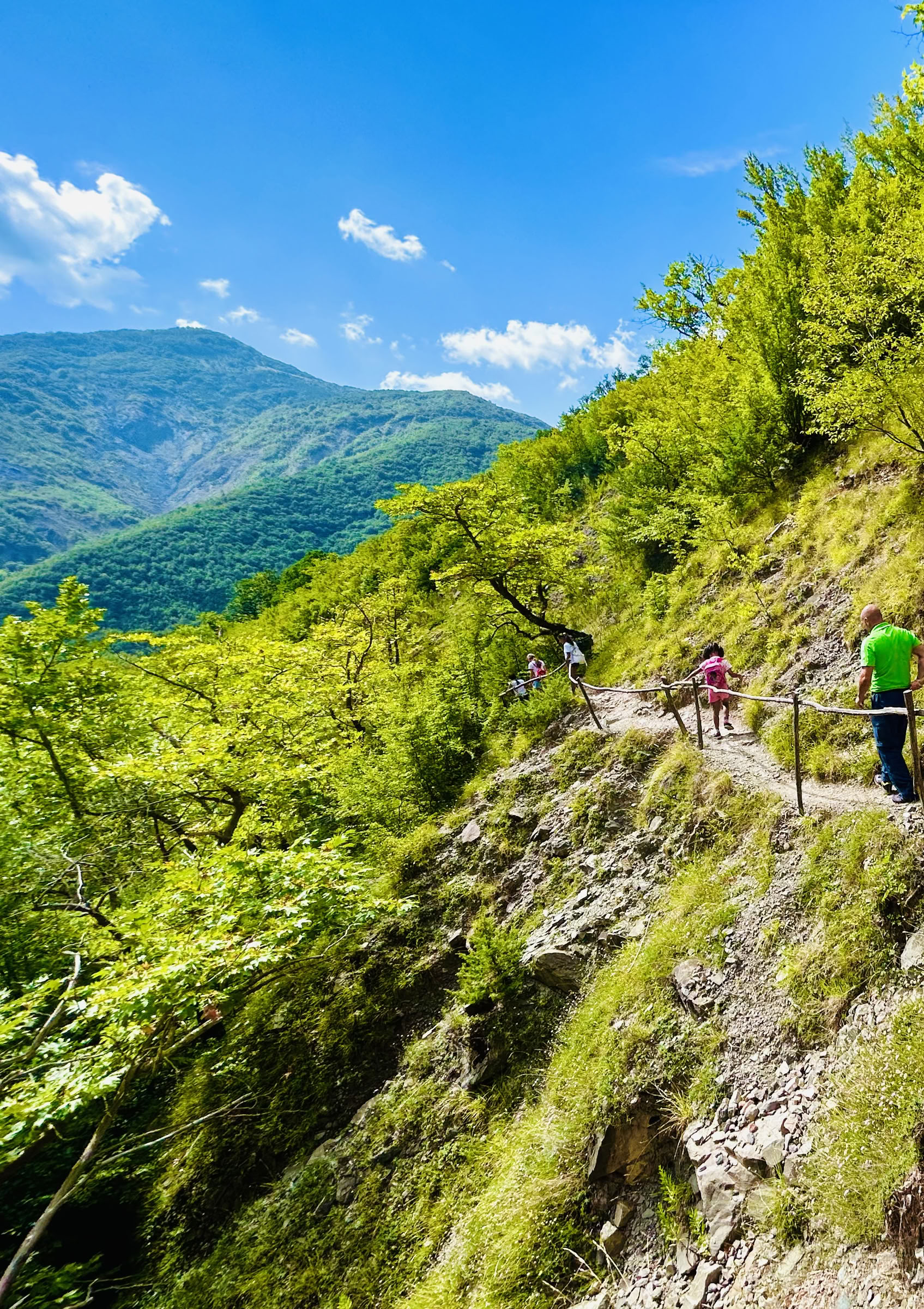 滝のエネルギー：豊かな山の風景の中でリチャージし、再びつながる