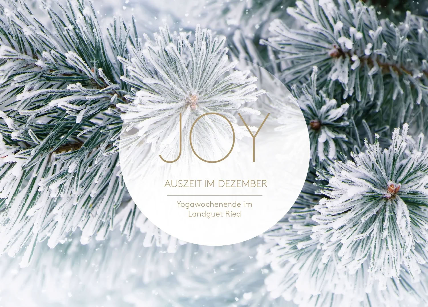 12月のヨガブレイク|Joy Yogaとともに — ランドゲート・リート、マインドフルな暮らしのためのセンター|リトリートセンター&セミナーハウス