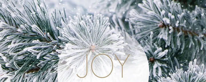12月のヨガブレイク｜Joy Yogaとともに — ランドゲート・リート、マインドフルな暮らしのためのセンター｜リトリートセンター＆セミナーハウス