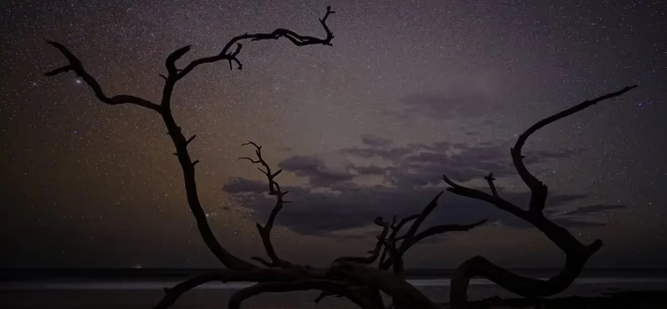 死海クレンズ