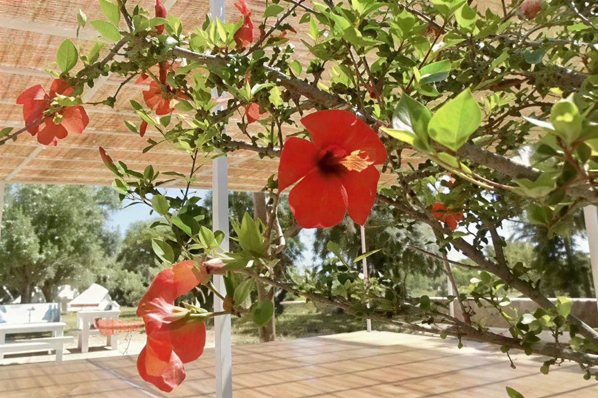 ヨガと陶芸