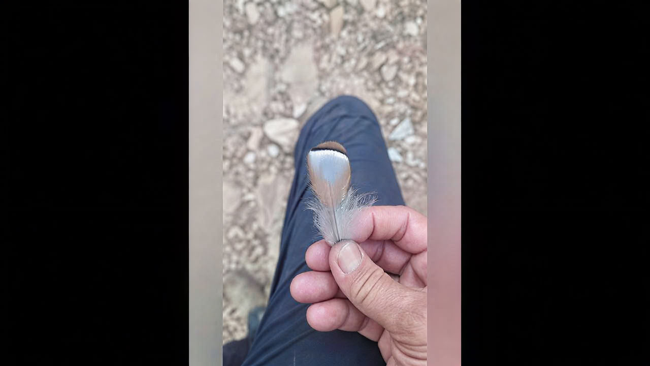 アウトドアクッキング