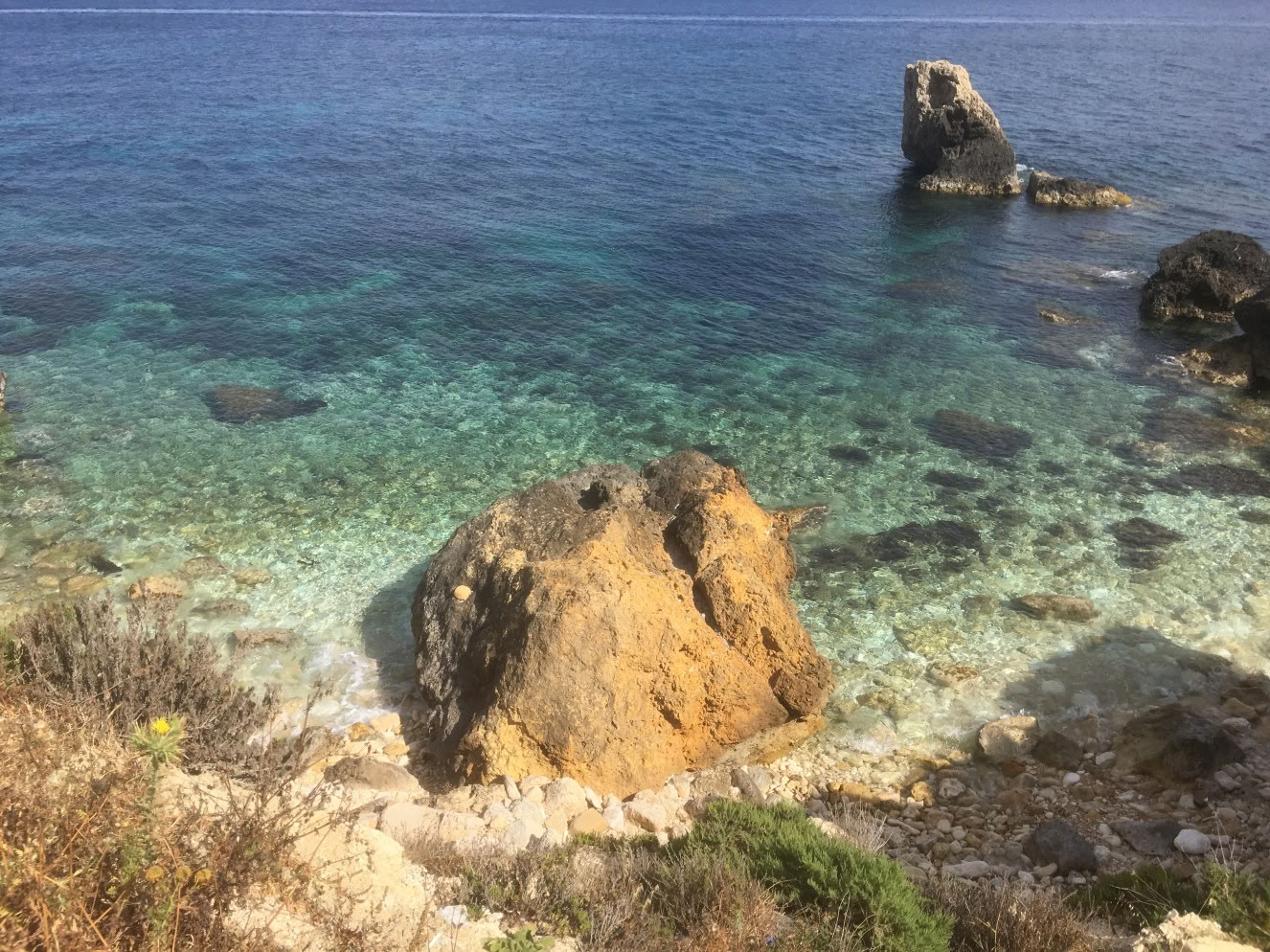 瞑想&ヨガニドラ指導者養成コース