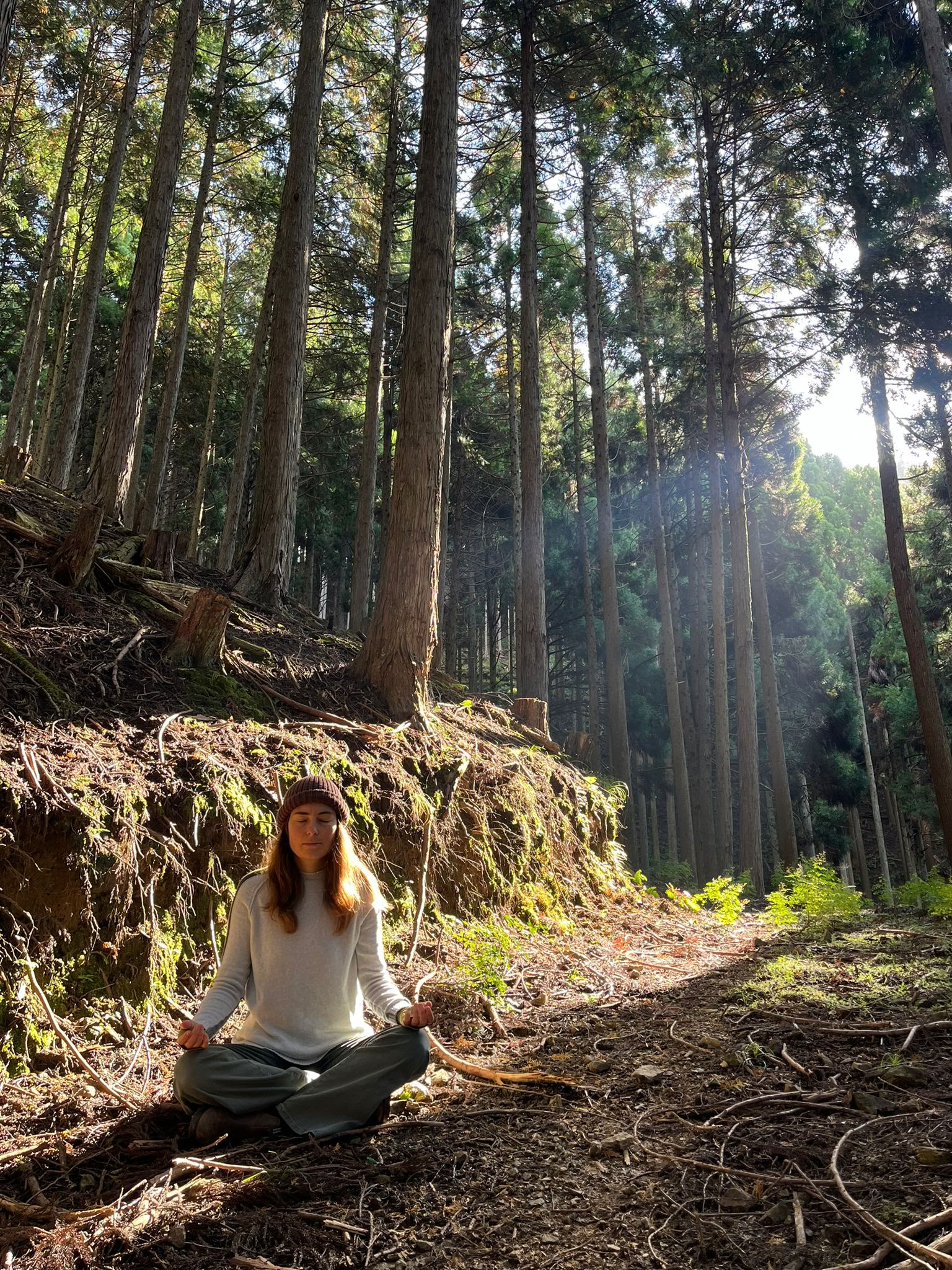 陰ヨガと瞑想 ☆ Yin Meditation