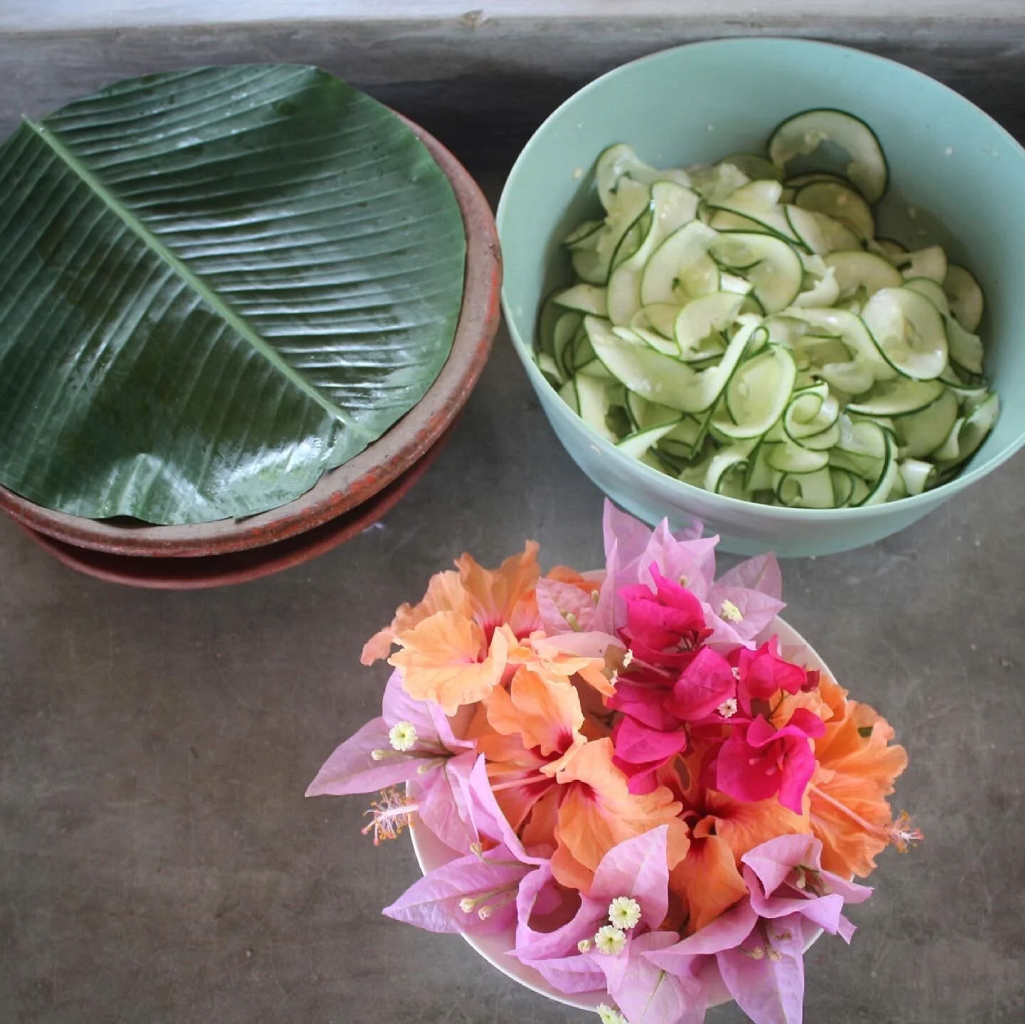 Flow Factory × Santosha Surf & Wellness Retreat