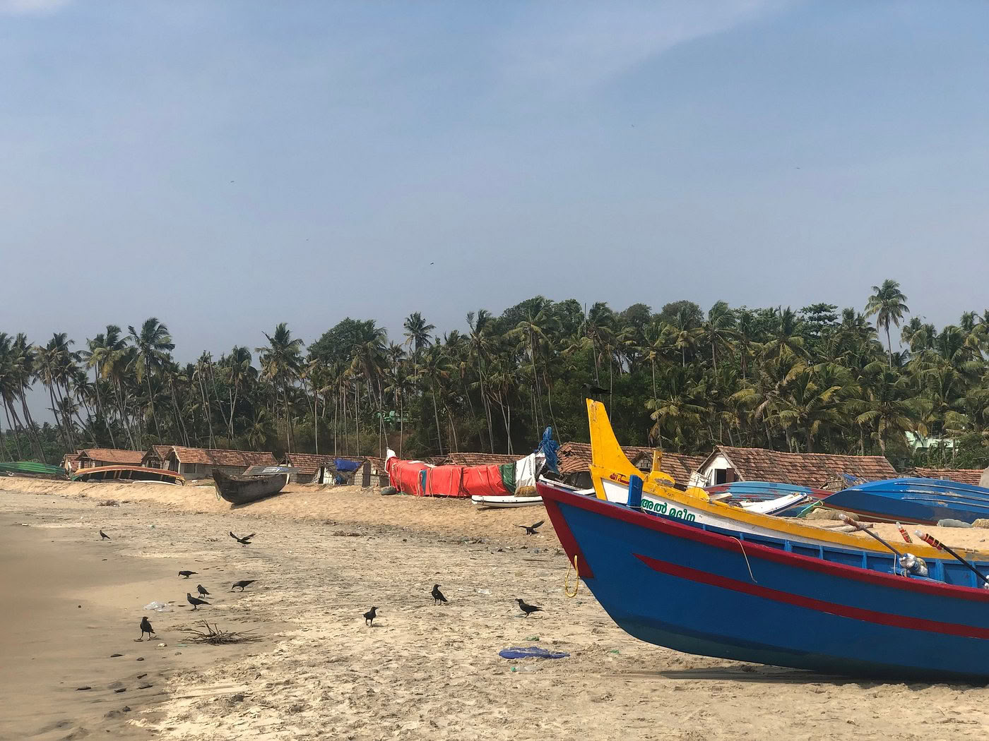 海と静寂のあいだ：インド・ケーララの中心で行うヨガとアーユルヴェーダのリトリート
