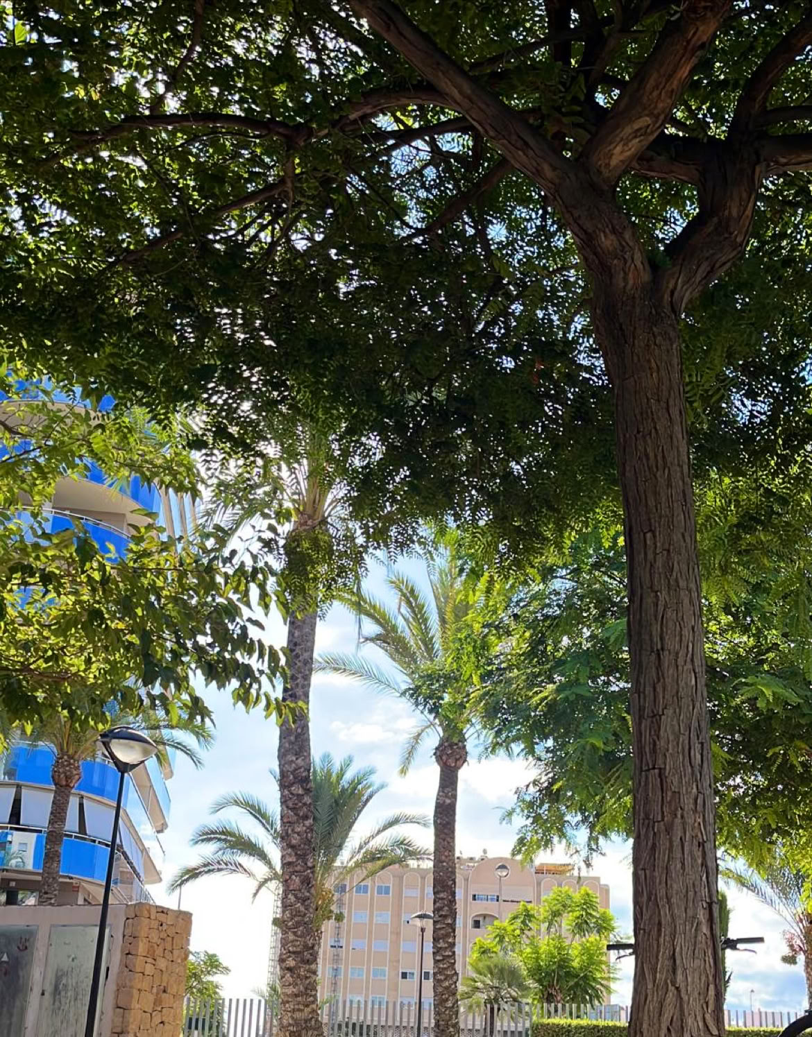 REVIVEリトリート&フィットネス by Bomba Fitness Campello