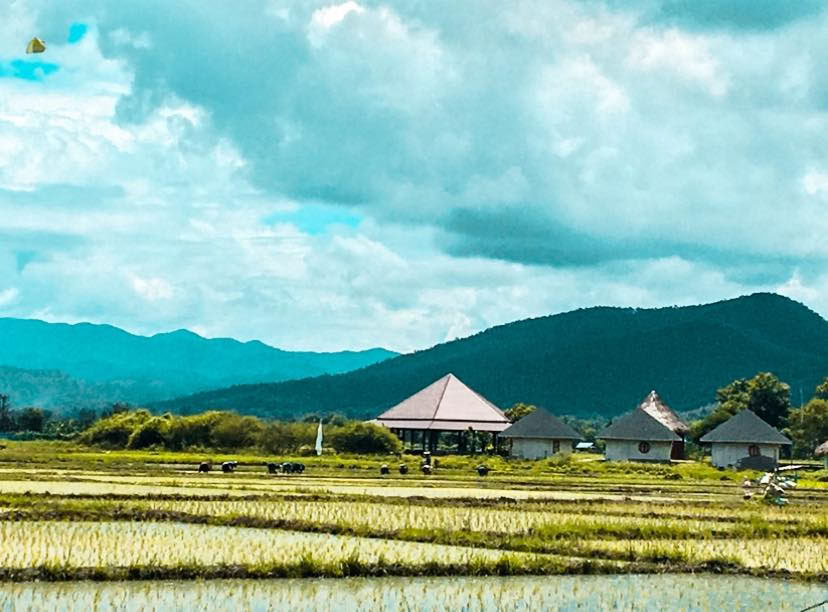 マーラ・ダーラ